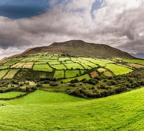 No IFA presidential election hustings to take place in Kerry