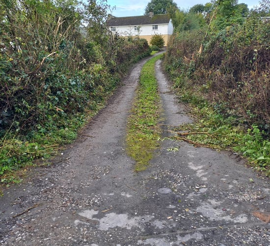 Controversial Limerick hedge cut without warning says farmer