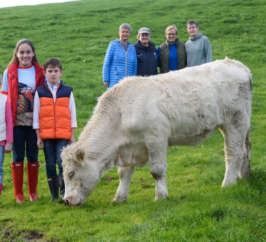 'Charolais' Angels' sell heifer to fundraiser for cancer