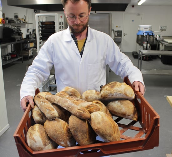 Irish start-up Niskus Biotec to receive early investment of $200,000