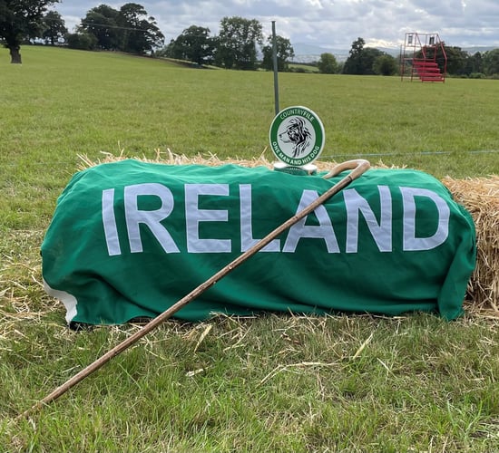 'One Man and His Dog' title claimed by Kerry team