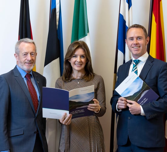 Ireland's renewable energy potential 'tied up in chains' by planning