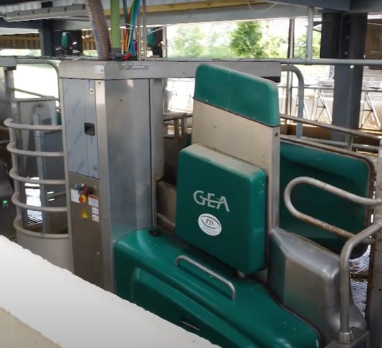 Robotic milking gives Kilkenny farmer ‘relaxed life’
