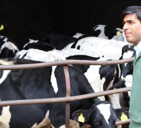 Pro-Brexit Rishi Sunak confirmed as next UK PM