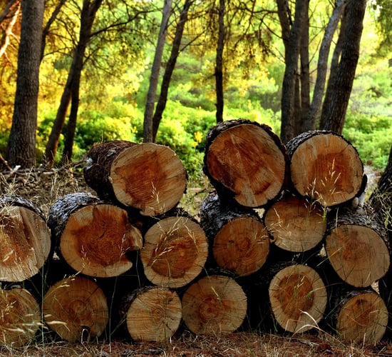 Imports of wood and paper products totalled €2.5bn in 2023 - CSO