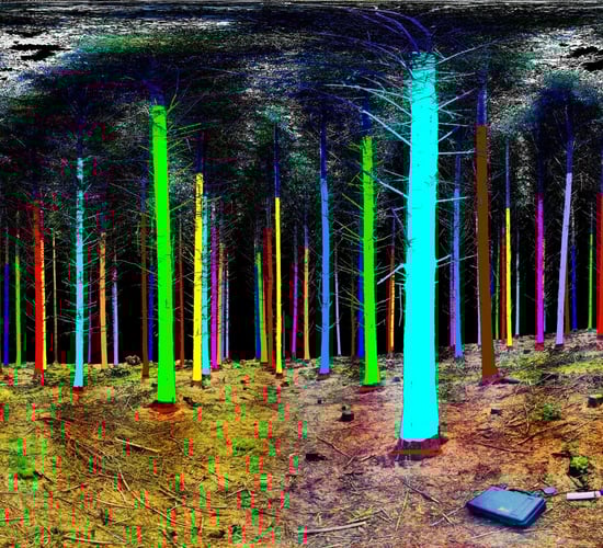 Treemetrics signs €1.2m contract with European Space Agency
