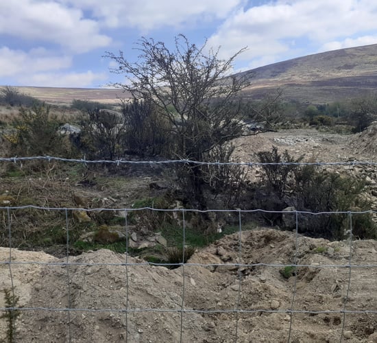 Wicklow landowners fined €1,000 for burning vegetation