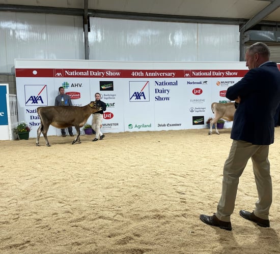National Dairy Show: Results from day one