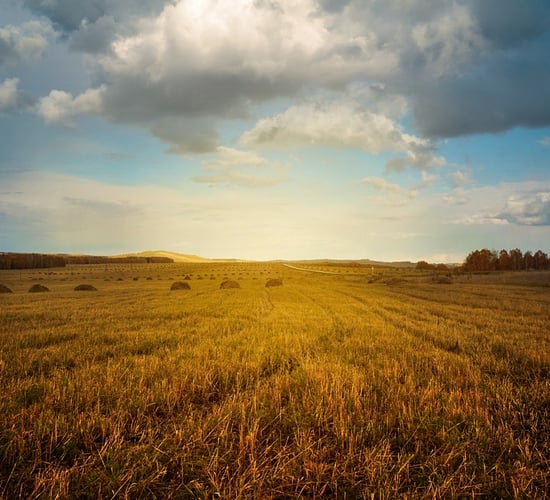 DAERA publishes 2022 Farm Business Data handbook