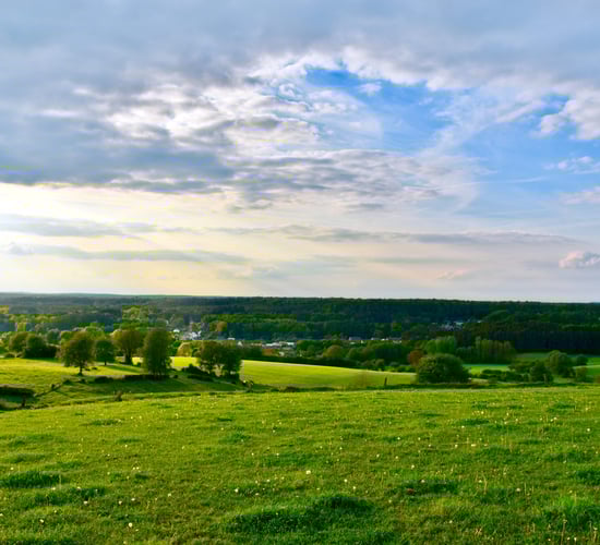 6.3% increase in agricultural land prices this year