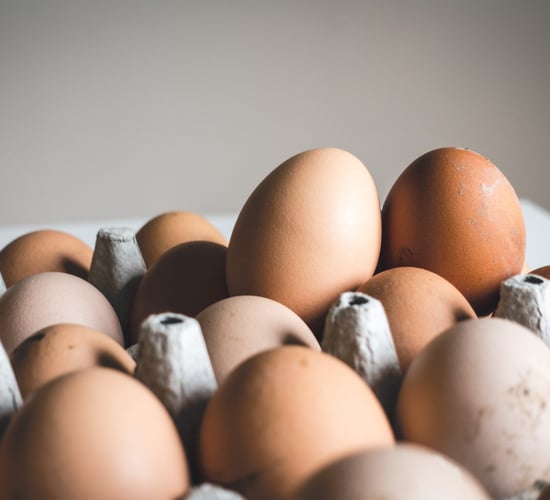 Egg producers agree price increase with Aldi suppliers
