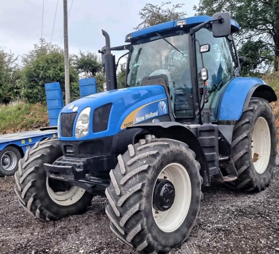 Basildon Blue sells well at latest Munster Auctions event