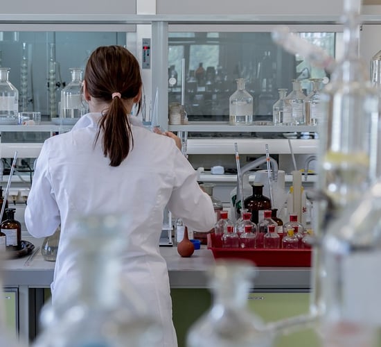 Germany: No other outbreaks within 1km of foot-and-mouth site