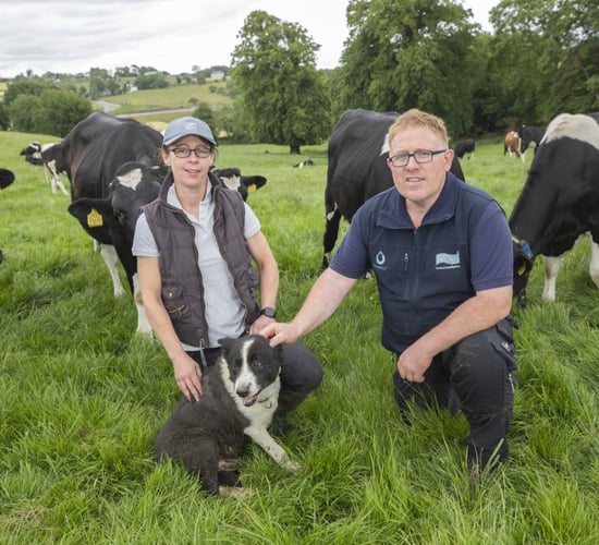 'SenseHub gives great freedom on the farm. You can be anywhere'