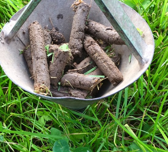 Why soil testing is more important than ever