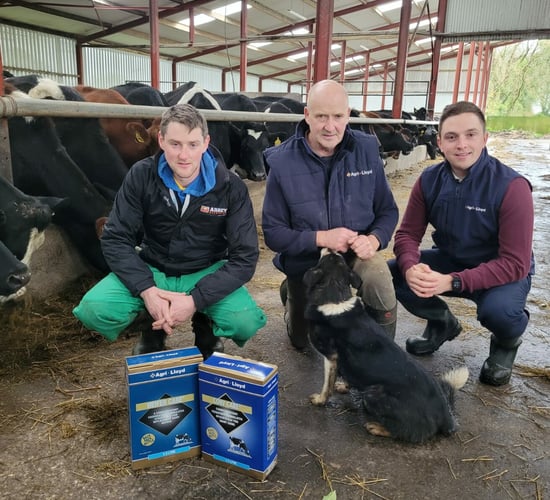 Waterford farm using 'Cow Care' to maximise dry period