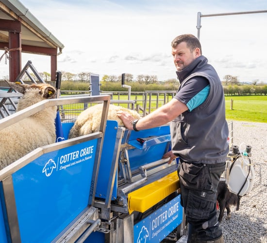 Organic sheep farming and smart technology at Limerick open day