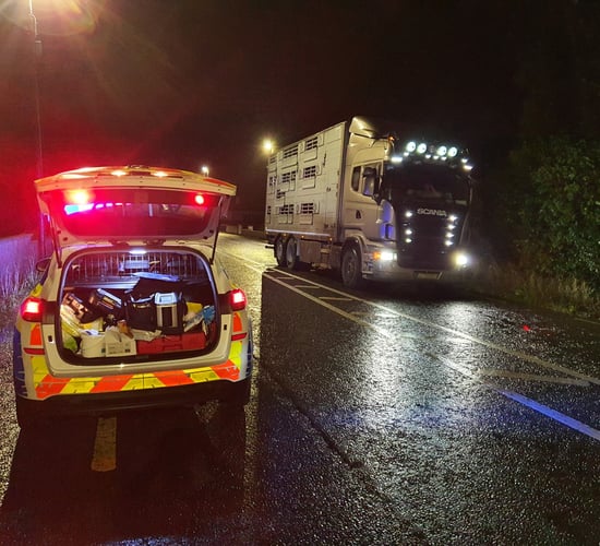 Gardaí stop cattle lorry after disqualified motorist found driving