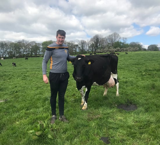 FBD Young Farmer of the Year 2022 revealed