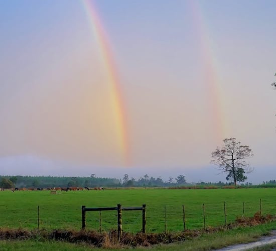 Weather largely unsettled and cooler than average this week