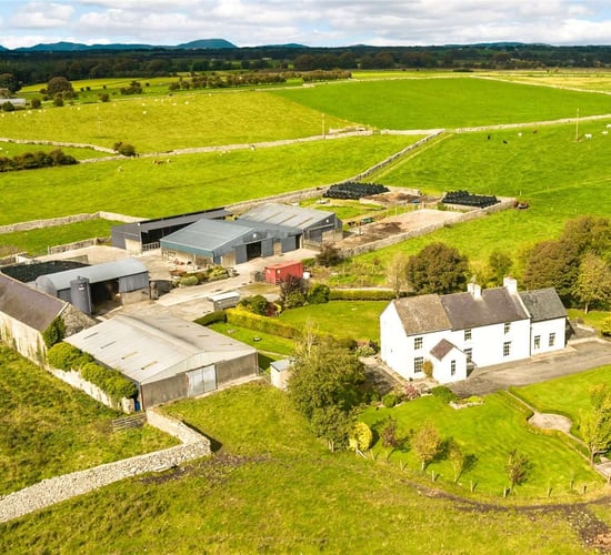 Sale of pedigree herd property guided at €1.3m