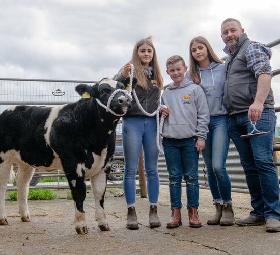 Video: Weanling heifer sells for €10,100 at sale in Donegal