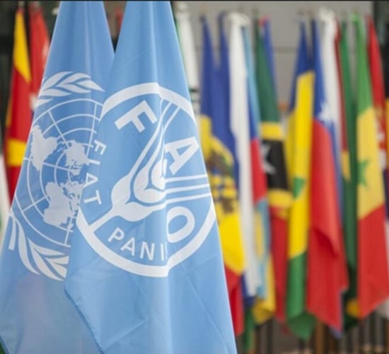 FAO to launch international AMR discussion platform