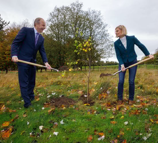 Legacy forestry issues need to be addressed - IFA