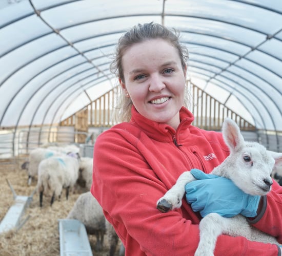 New TV series to film four female farmers in Ireland