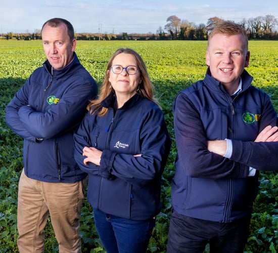IFA and Bord Gáis Energy to offer 'rooftop solar' options