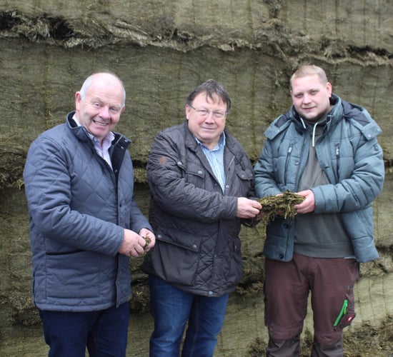 How to avoid the build-up of mycotoxin contamination in grass silage
