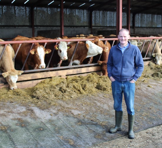 Poor weather taking its toll on farms across Northern Ireland
