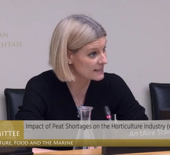Hackett criticised for 'going in circles' on horticultural peat issues