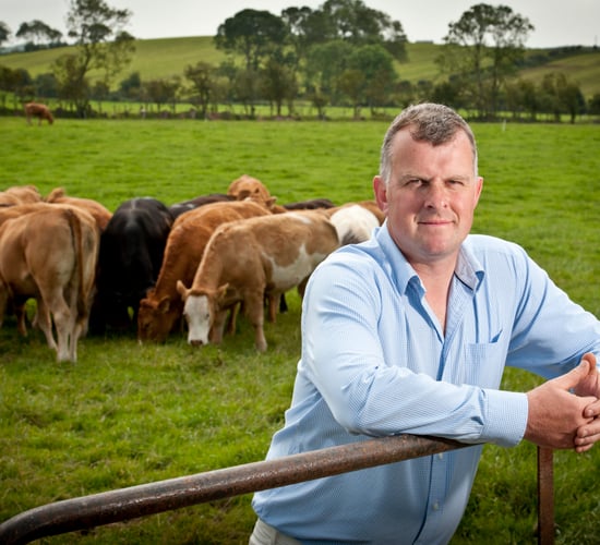 Carbon footprint challenges for livestock producers