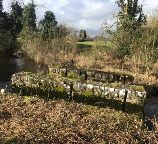 GLAS funding for restoration of 'historic' stone wall in Leitrim