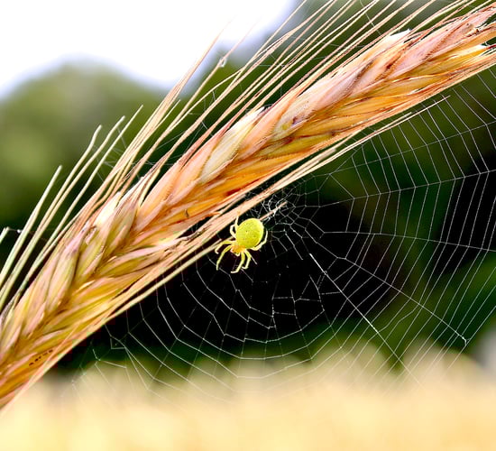 Teagasc reveals winners in research and innovation photo contest