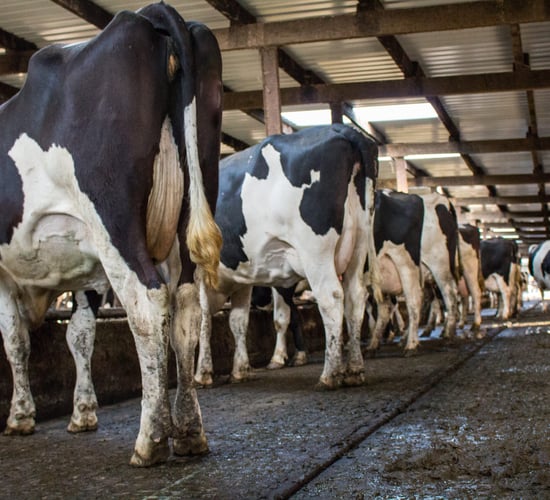 UFU raises major concerns over TB budget cuts