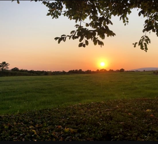 COP15: Ireland has a 'lot of catching up to do' - IWT