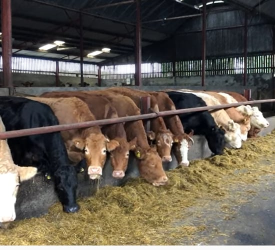 One week left to submit data for key farm schemes