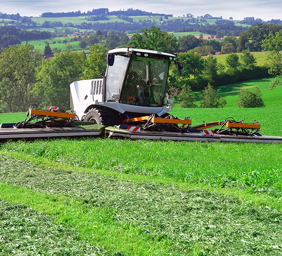 Cutaro self-propelled mower to compete with Krone