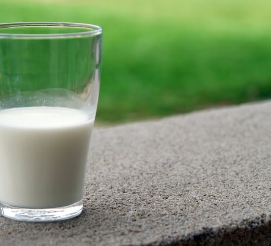 Export programmes deliver £55.6m in new sales for NI dairy industry