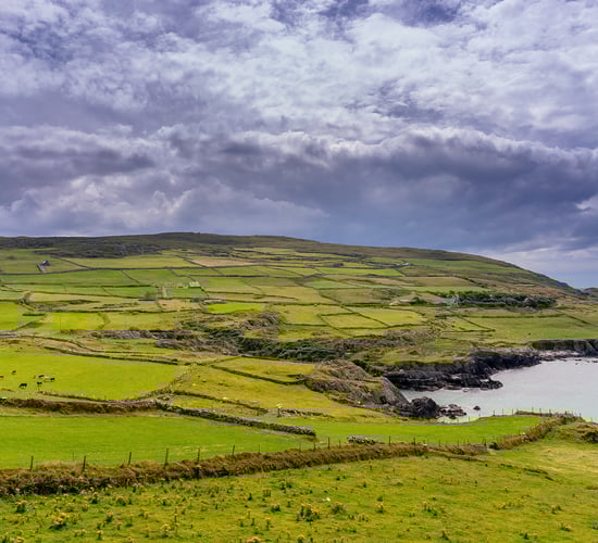 Agri-tax relief key in IFA Budget 2024 submission