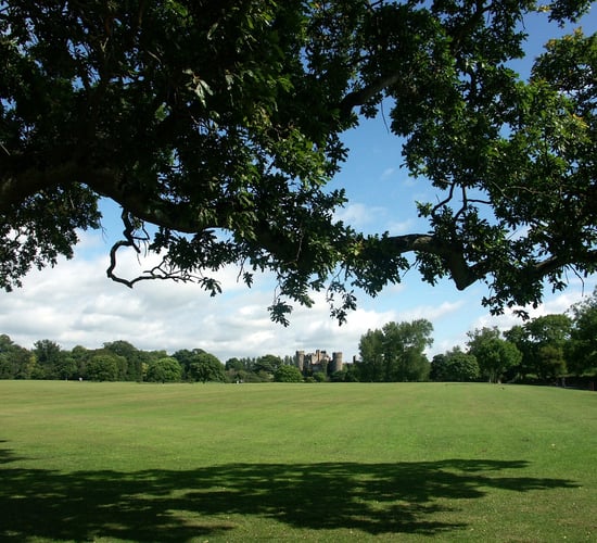 Urban green spaces important for 92% of people in Ireland