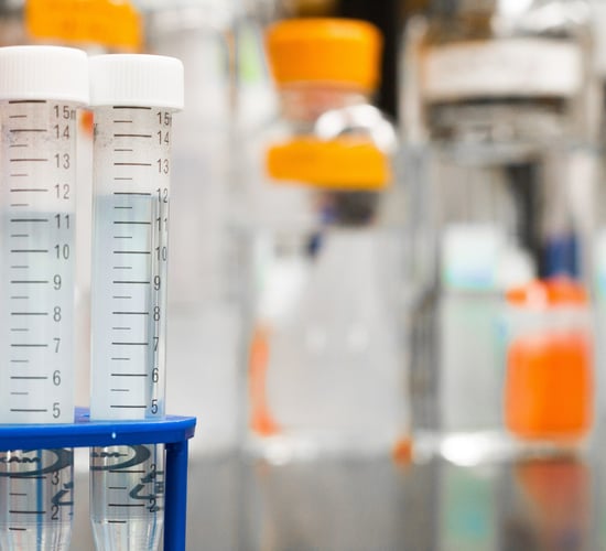 No contaminants detected in 99.89% of food samples in 2021