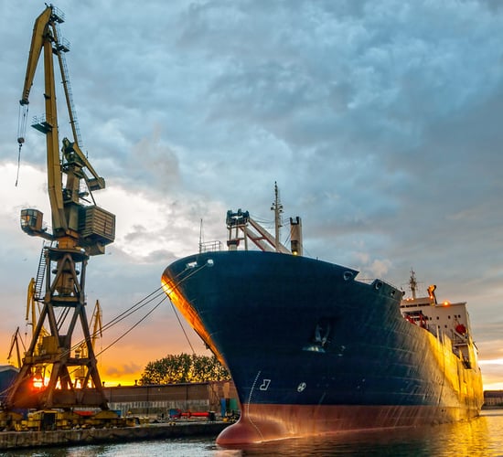 Value of food and live animal exports rise in September - CSO