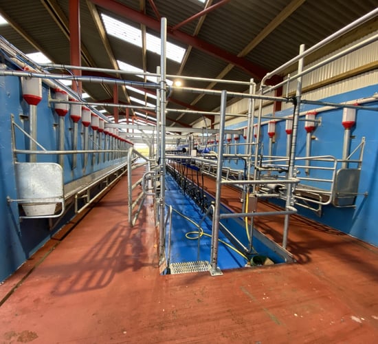 Buildings Focus: New 24-unit parlour for 200 cows in Meath