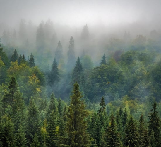 MEPs to vote on binding emissions reduction targets
