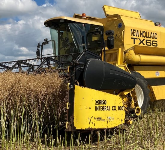 Winter oilseed rape: Optimising crop establishment