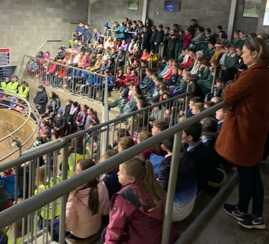 700 kids attend farm safety day at Carnew Mart