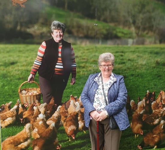 'Free Range Blessings' lays out egg enterprise journey